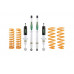 NT 2009-2011 Suspension Kit - Constant Load with Gas Shocks LWB Petrol
