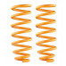 Pathfinder R20 Rear Constant Load Coil Springs